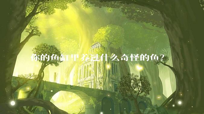 你的鱼缸里养过什么奇怪的鱼？