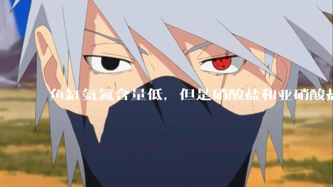 鱼缸氨氮含量低，但是硝酸盐和亚硝酸盐爆表，已经一个多周了，咋办？