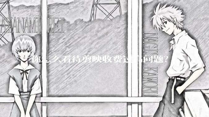 你怎么看待剪映收费过高问题？