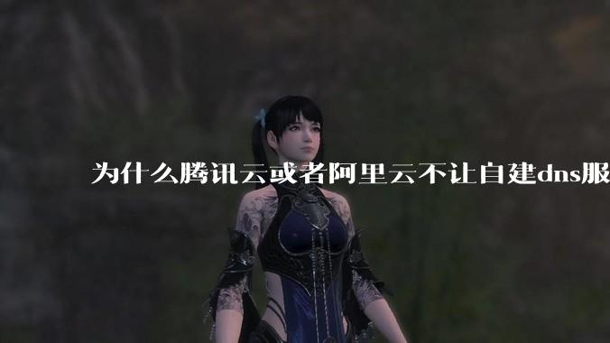 为什么腾讯云或者阿里云不让自建dns服务器?
