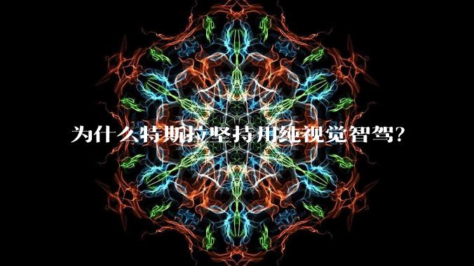 为什么特斯拉坚持用纯视觉智驾？