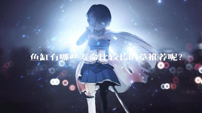 鱼缸有哪些寿命比较长的草推荐呢？