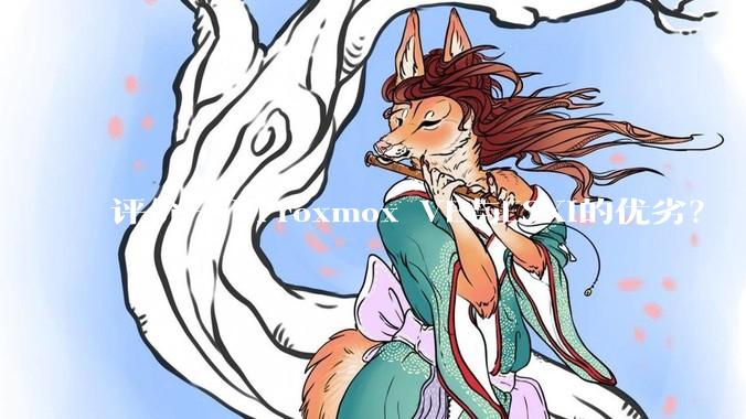 评价一下Proxmox VE与ESXi的优劣？