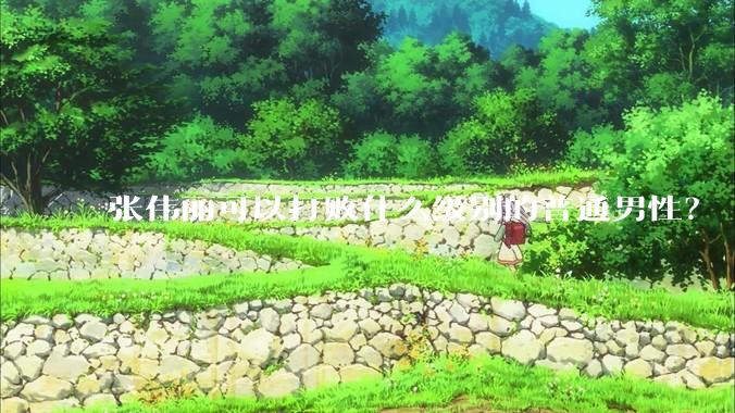张伟丽可以打败什么级别的普通男性？