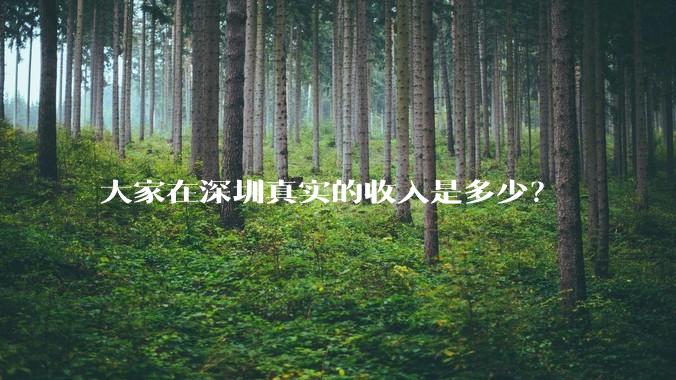 大家在深圳真实的收入是多少？
