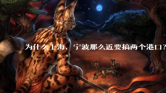 为什么上海、宁波那么近要搞两个港口？不会恶性竞争么？