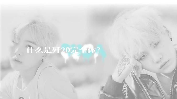 什么是歼20完全体？