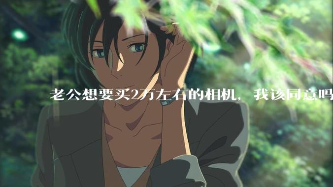 老公想要买2万左右的相机，我该同意吗？