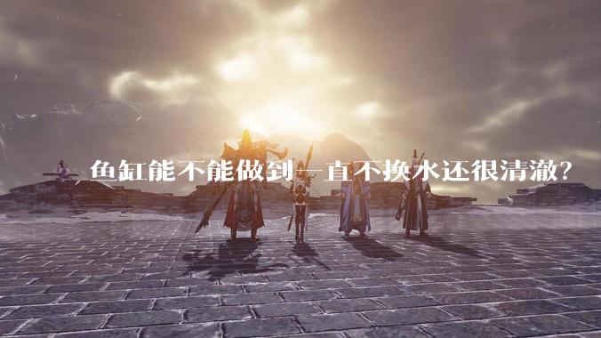 鱼缸能不能做到一直不换水还很清澈？