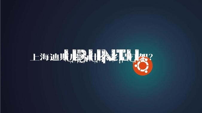 上海迪斯尼为什么老是打架？