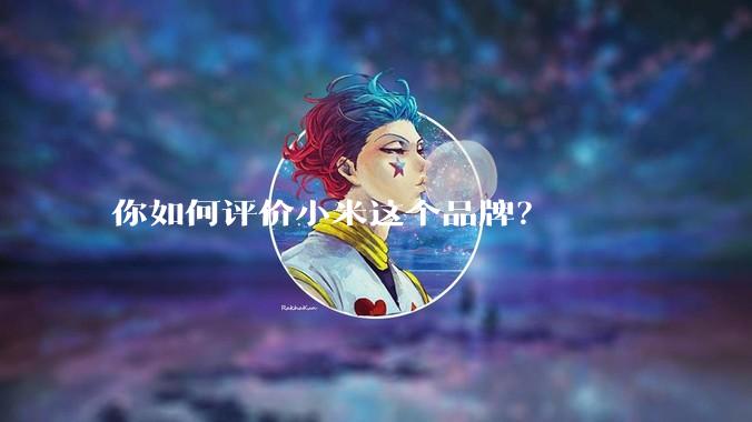 你如何评价小米这个品牌？