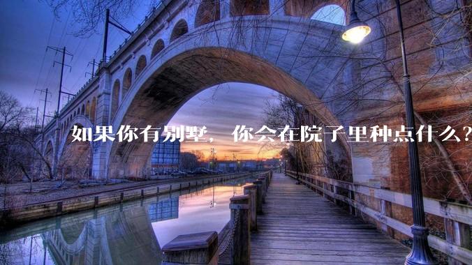 如果你有别墅，你会在院子里种点什么？